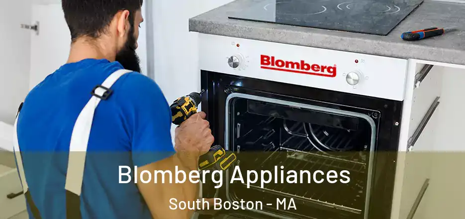 Blomberg Appliances South Boston - MA