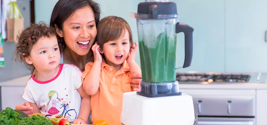 Juicer and Mixer Blender Repair in South Boston