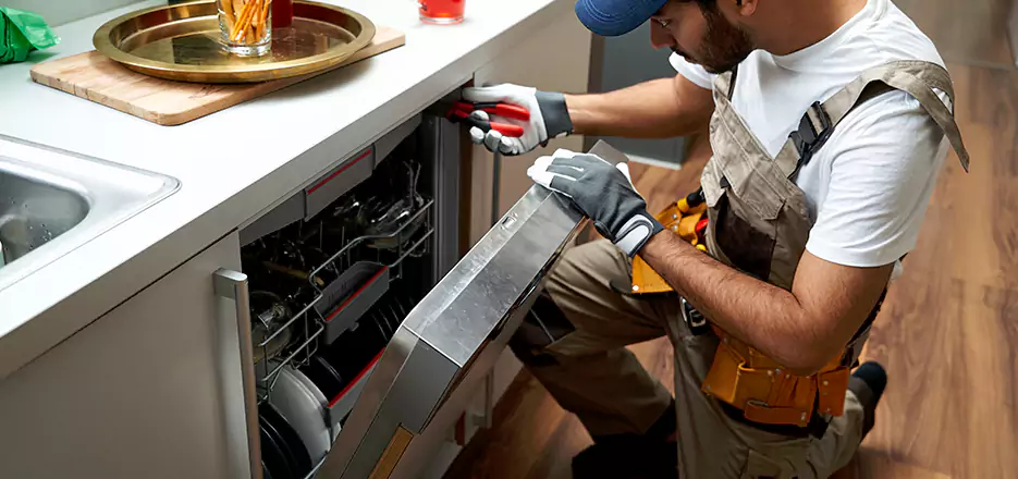 Same Day Dishwasher Not Draining Repair in South Boston