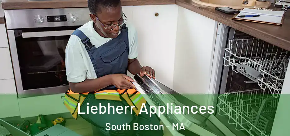 Liebherr Appliances South Boston - MA